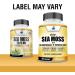 American Standard Supplements Irish Sea Moss, Bladderwrack, and Burdock Root Capsules - 1200mg/1200mg/225mg - Vegan, Gluten Free, Non-GMO - 120 Capsules - Buy Online on GoSupps.com
