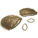 Light Brown One Knot Hairnet - Perfect for Hair Styling and Updos - Buy Online on GoSupps.com