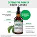 NutraMedix Takuna 2 oz (60 ml) - Premium Herbal Extract for Wellness - Buy Online on GoSupps.com