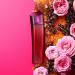 Escada Magnetism Eau de Parfum for Women Eau de Parfum 75 ml (Pack of 1) - Buy Online on GoSupps.com