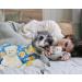 XPUDAC Small Dog Pajamas 4-Piece Set | Puppy Onesies for Christmas | Pet Sleeper Outfits | Cat and Doggie Jammies | Duck, Strawberry, Unicorn | Size Small 3.5-7 LBs - Buy Online on GoSupps.com