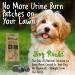 Dog Rocks 100% Natural Urine Patch Preventer - 200g Bag - Buy Online on GoSupps.com