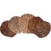 Garnelen4you Sea Almond Leaves - 100 Premium 6-9 cm for Shrimp Fish Crabs Snails | Climate-Neutral Packaging | Long-Term Feed & Water Treatment - Buy Online on GoSupps.com