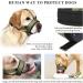 Heele Adjustable Dog Muzzle with Head Belt | Chew-Proof & Comfortable | Fits Medium & Large Dogs | Green (1 Pack) - Buy Online on GoSupps.com