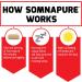 Force Factor Somnapure Natural Sleep Aid - 60 Tablets for Restful Sleep - Buy Online on GoSupps.com