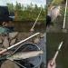 MAXIMUMCATCH Mini Tenkara Rods - 285/360CM Telescopic Carbon Fishing Rod 12FT Combo - 6:4/7:3 Action - International Shipping Available - Buy Online on GoSupps.com