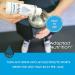 Original Electrolyte Supplement | Immune Support & Hydration | NO Calories/Sugar | 20%+ More Potassium, Magnesium & Zinc | 48 Servings, 4.06 Fl Oz - Buy Online on GoSupps.com