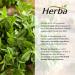 Herba Cissus Capsules - 60 Capsules | CQR-300 Patented Supplement | Cissus Quadrangularis and Green Coffee Bean Extract | Made in Canada - Buy Online on GoSupps.com