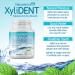 Nature's Stance XyliDENT Xylitol Tablets for Dry Mouth Relief - Wintergreen 100 Count - Stimulates Saliva, Freshens Breath, Reduces Acid Production - Fast Acting Relief - Buy Online on GoSupps.com