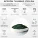 Bionutra Chlorella-Spirulina Powder Bio 250g - Organic Vegan Gluten-Free Superfood | Eco Certified Additive-Free 2-Month Supply - Buy Online on GoSupps.com