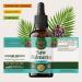 HERBAMAMA Saw Palmetto Tincture - Vegan Men's Urinary Tract Support with Saw Palmetto Extract Drops - Non-GMO, Alcohol & Sugar-Free Serenoa Repens Berries Supplement, 84-Day Supply 2 Fl Oz (Pack of 1) - Buy Online on GoSupps.com