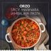 Barilla Orzo Pasta 16 oz. Box (Pack of 16) - Non-GMO Durum Wheat Semolina - Italy's #1 Pasta Brand - Kosher Certified - Buy Online on GoSupps.com