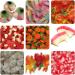 Halloween Sweets 1kg Novelty Halloween Pick n Mix Halloween Trick or Treat Themed Sweets Halloween Party 2023 - Buy Online on GoSupps.com