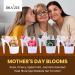 Buy Gifts for Mom - Luxury Heel Shoe Spa Basket Set of 4 | Rose Cherry Spearmint Jasmine | Perfect Mother's Day Gift by Draizee - Buy Online on GoSupps.com