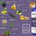 Blackcurrant Seed Oil Blend For Eczema & Psoriasis Relief Moisturising Treatment Nourishes Skin - Sensitive Skin (100ml) By Sera Organics - Buy Online on GoSupps.com