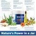 Neuropathy Pain Relief Cream 2oz - Maximum Strength Fast-Acting Nerve Pain Relief for Hands Legs Toes | Natural Ingredients & Liposomal Technology - Buy Online on GoSupps.com