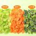 Vegetable Soup Blend 320g Dehydrated Vegetables for Ramen Noodles Mixed Dried Vegetables For Soup Stir Fry - Buy Online on GoSupps.com