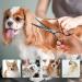 Intini 7.5 Curved Dog Grooming Scissors | Professional Pet Grooming Shears with Safe Round Tips | Dematting Tool for Thick-Haired Dogs | Light Weight Shears for Right and Left Hands - Buy Online on GoSupps.com