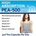 PEAORA PEA-500 - Support for Bladder, & Pelvic Discomfort | For Women & Men | Made in the USA | High-Absorption Palmitoylethanolamide & Resveratrol - Buy Online on GoSupps.com