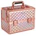 Songmics cosmetic case make-up case make-up storage organizer for the trip for hairdressers and visagists Christmas lockable box with a strap rose gold metallic jbc323rd pink gold