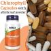 Now Foods Chlorophyll 100mg 90 Vegan Capsules - Lab Tested | Vegetable Minerals | Gluten & Soy Free | Vegetarian Friendly - Buy Online on GoSupps.com