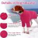 Iecoii Warm Turtleneck Dog Sweater Cozy Winter Dog Clothing for Small Medium & Large Breeds | Ideal for Chihuahua French Bulldog and Labrador - Rose Red - Buy Online on GoSupps.com