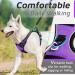 Eagloo Dog Harness for Large Dogs - Adjustable Anti-Train Control Harness with Reflex Strips Purple - Perfect for Labradors (1 Pack) - Buy Online on GoSupps.com