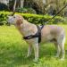 Buy Eeyfarog No Pull Dog Harness for Small & Medium Dogs - Reflective Adjustable Erosion-Proof - Black L - Buy Online on GoSupps.com