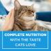 Cat Chow Complete Dry Cat Food Real Chicken - 4 kg Bag 4 kg (Pack of 1) - Buy Online on GoSupps.com