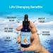 Magnesium Belly Oil (1.5 Fl Oz (Pack of 1), Cool) Cool 1.5 Fl Oz (Pack of 1) - Buy Online on GoSupps.com