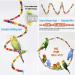Duckiimo 15PCS Bird Parakeet Toy Set - Chewing Hanging Toy with Bells, Colorful Beads, Swinger Bungee - For Parakeets, Cockatiels, Budgies, Lovebirds - Buy Online on GoSupps.com