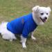 XXL Dark Blue Hualisiji Fleece Dog Sweater - Warm & Lightweight Sweatshirt for Small Dogs - Buy Online on GoSupps.com