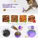 Fostbeen Interactive Cat Toys - Magic Wand Funny Balls & Slow Feeder for Kittens & Cats | Weight Loss & Treat Edition Gift - Buy Online on GoSupps.com