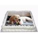 YOUR OWN PHOTO IMAGE WITH PERSONALISED MESSAGE COSTCO SIZED EDIBLE ICING CAKE TOPPER DECORATION - Buy Online on GoSupps.com