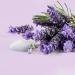 Love Beauty and Planet Smooth & Serene Conditioner with Argan Oil & Lavender - 13.5 fl oz - Buy Online on GoSupps.com