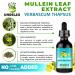 Undelio's Herbal Mullein Leaf Extract - Organic Alcohol-Free Tincture for Respiratory Lung Sleep Digestive Support - Non-GMO Vegan 2 fl. Oz Immune Health Lung Detox - Buy Online on GoSupps.com