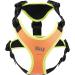 Buy Julius-K9 Mantrailing & Outdoor Dog Harness - Size M UV Orange with Neon Edge | International Shipping Available - Buy Online on GoSupps.com