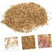 FOYTOKI 1 Glass Chip Glass Charms Filling Shiny Nail Stickers DIY Fillers Nail Nail Art Charms Manicure Charm Epoxy Filling DIY Glass Fillers Nail Art Rhinestones Epoxy Charms 0.5X0.3cm Golden - Buy Online on GoSupps.com