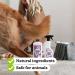 Marcel's Green Soap - All-purpose Spray Lavender & Rosemary - Cleaning Spray - 100% Eco friendly - 100% Vegan - 97% Biodegradable - 500 ML - Buy Online on GoSupps.com