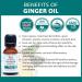 Ganga Ayurveda Kiah Ginger Essential Oil - 100% Pure Therapeutic Oil for Lymphatic Drainage Massage - 15ml - Buy Online on GoSupps.com