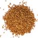 Bremer Gew rzhandel Whole Coriander Seeds - 75g for Cooking & Baking | Premium Quality Spice - Buy Online on GoSupps.com