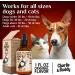 Charlie Buddy Hemp Oil for Dogs & Cats - Hip & Joint Support, Skin Health, Anxiety Relief, Pain Management - Omega 3, 6, 9 with Vitamins B, C, E - Buy Online on GoSupps.com