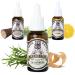 Natural Beard Oil for Men Scented Beard Moisturiser Oil Contains Hydrating Jojoba + Argan Oil Nourishing Mens Beard Softener for Healthier Hair Growth (Wilderness 30ml) Wilderness 30 ml (Pack of 1)