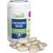 CANVIT Chondro Maxi for Dogs Joint Strengthening Formula 1000 g - Buy Online on GoSupps.com