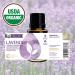 Buy Rocky Mountain Organic Lavender Essential Oil - 15ml | Aromatherapy for Diffuser & Home Use - Buy Online on GoSupps.com