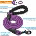 Haapaw Reflective Dog Collar - Padded Soft Neoprene Nylon for Small & Medium Dogs - Purple L (1 Pack) - International Shipping Available - Buy Online on GoSupps.com