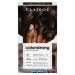 Clairol ColorStrong Permanent Zero Ammonia Hair Dye La Habana Hair Color - 3.0 Darkest Brown