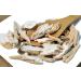TCM Herbs USA Bai Lian / Japanese Ampelopsis Radix Root Slice / Ampelopsis (8 oz)