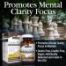 Nature's Answer Lion's Mane 1500 mg - 90 Vegetarian Capsules for Cognitive Support - Buy Online on GoSupps.com