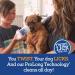 Vetality Brush Free Twist & Lick Dental Gel for Dogs - 24-Hour Teeth Cleaning, Chicken Flavor - Vet Recommended Breath Freshener - Buy Online on GoSupps.com